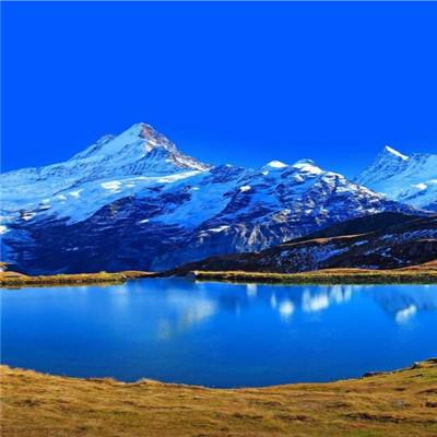 71771威尼斯.Cm下载手机版截图